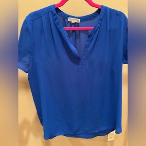 Pleione Blue Mandarin Collar Blouse